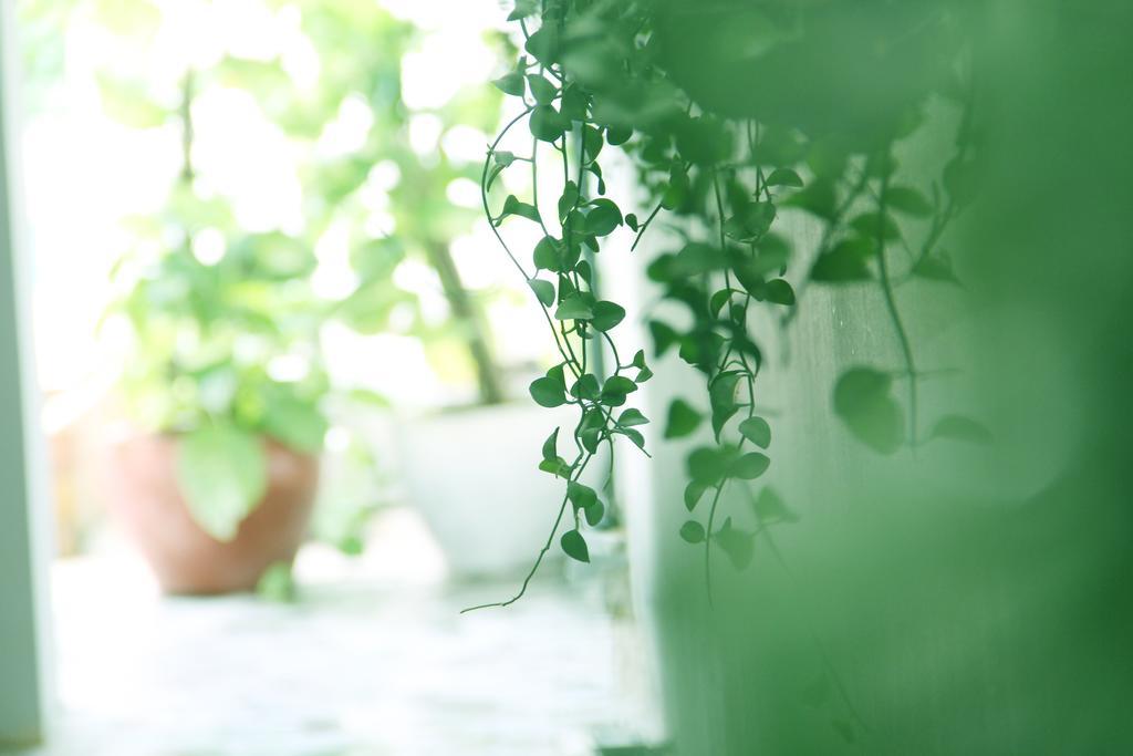 Cozy Boutique Hotel Phnompenh Exteriér fotografie
